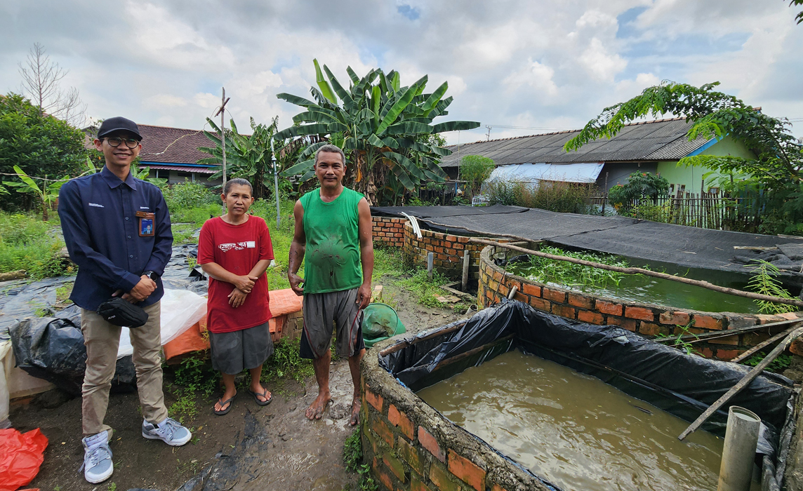 Sempat Jatuh, Usaha Ternak Lele Binaan Bukit Asam (PTBA) Bangkit dan Berkembang