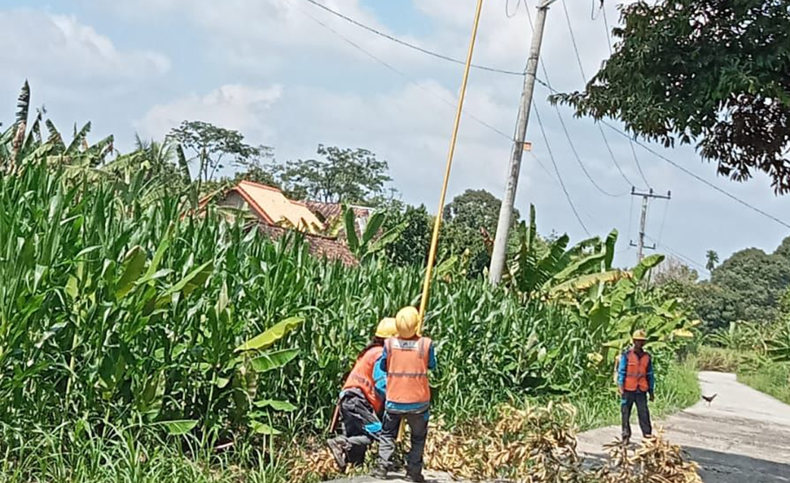 PLN Unit Layanan Pelanggan (ULP) Muara Dua Intensifkan Pemeliharaan Jaringan Tingkatkan Keandalan Listrik