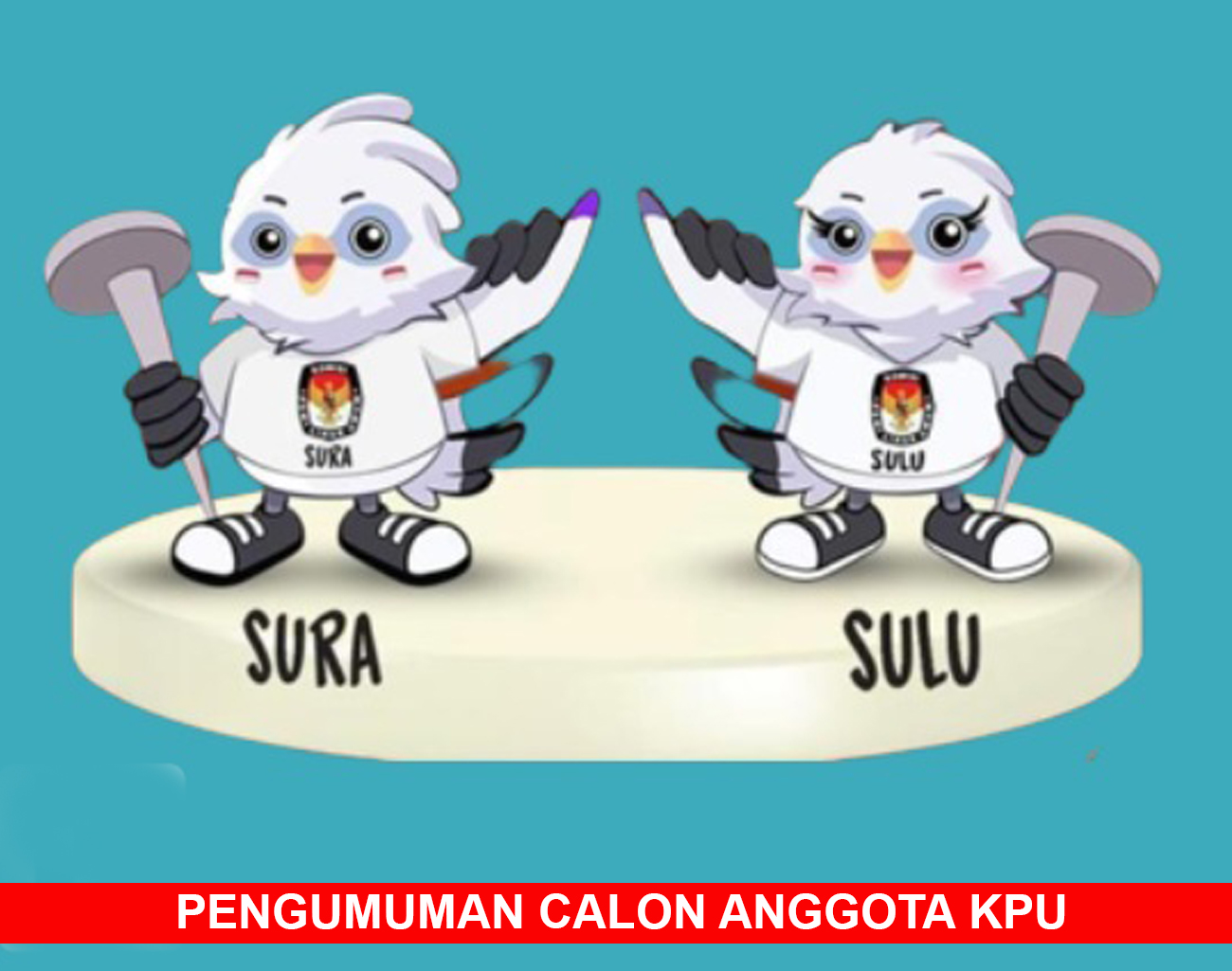 Inilah Nama nama Calon Anggota KPU Periode 2024-2029, KPU RI Umumkan 20 Kabupaten/Kota