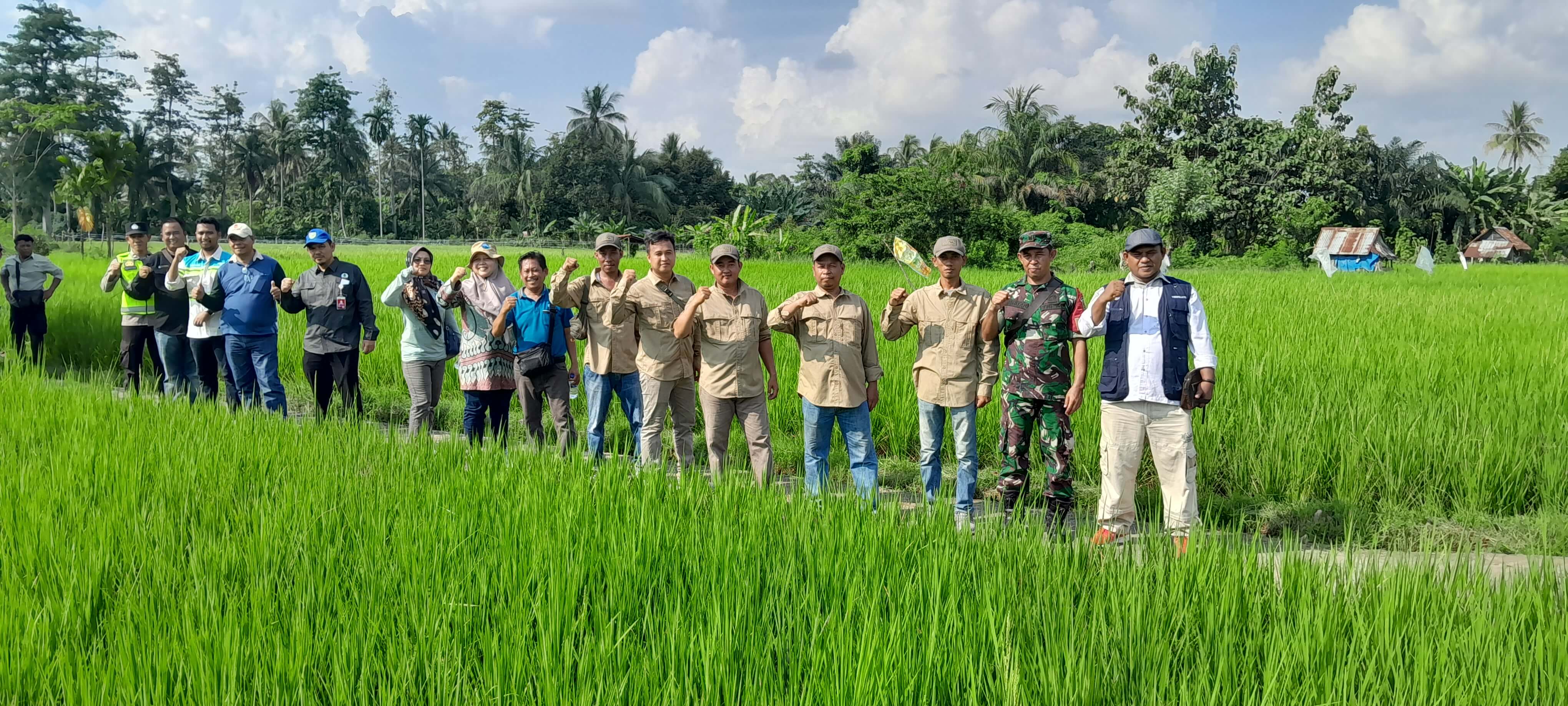 Tim Proklim KLHK Kunjungi Desa Gunung Kembang Disambut Hijaunya Persawahan Yang Masih Asri, Ini Penjelasannya