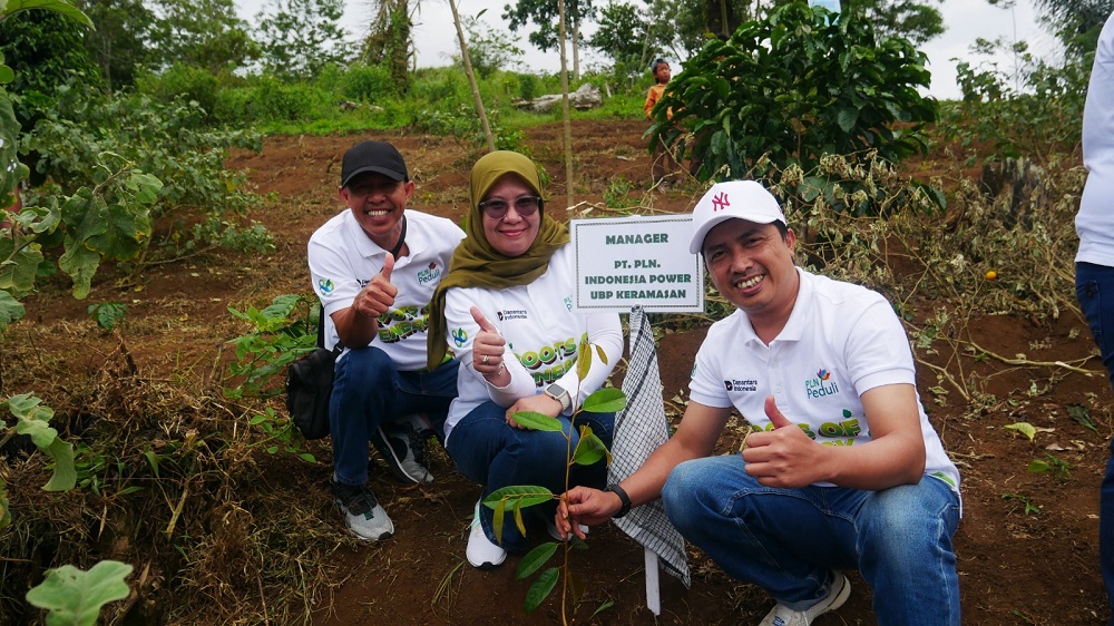 PLN UID S2JB Tanam 3.000 Pohon di Rejang Lebong, Perkuat Ekologi dan Harapan Ekonomi Warga