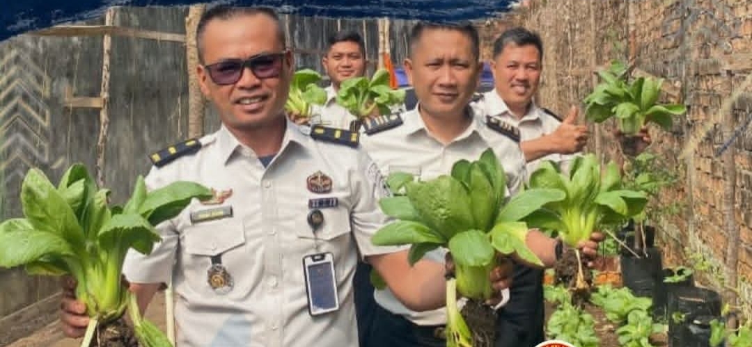 Panen Pakcoy Lapas Lahat Jadi Wujud Nyata Program Ketahanan Pangan