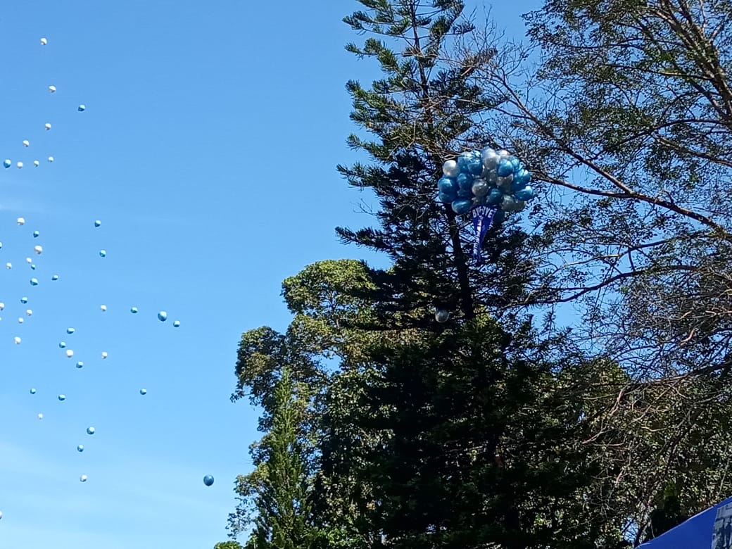 Balon Bye Bye Honorer Nyangkut di Ranting Pohon saat Pelantikan PPPK Guru Lahat