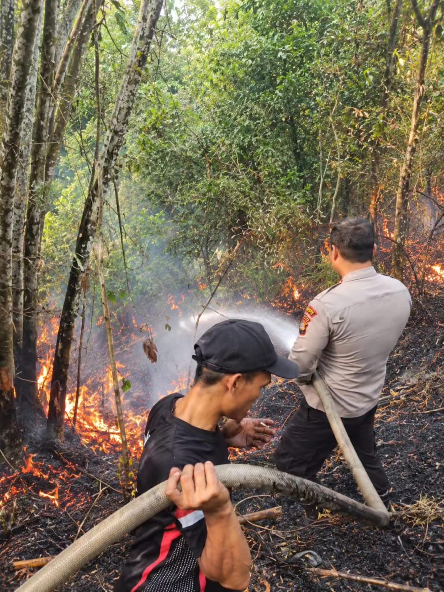 Polsek Kota Agung Bersama Personel dan Damkar Padamkan Karhutla di Desa Dingin Lama