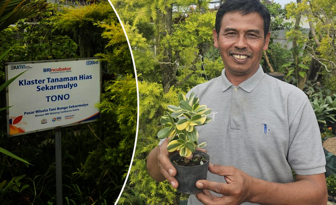 Kisah Klaster Usaha Tanaman Hias Binaan BRI, Sukses Jadi Mata Pencaharian Warga Kota Batu 