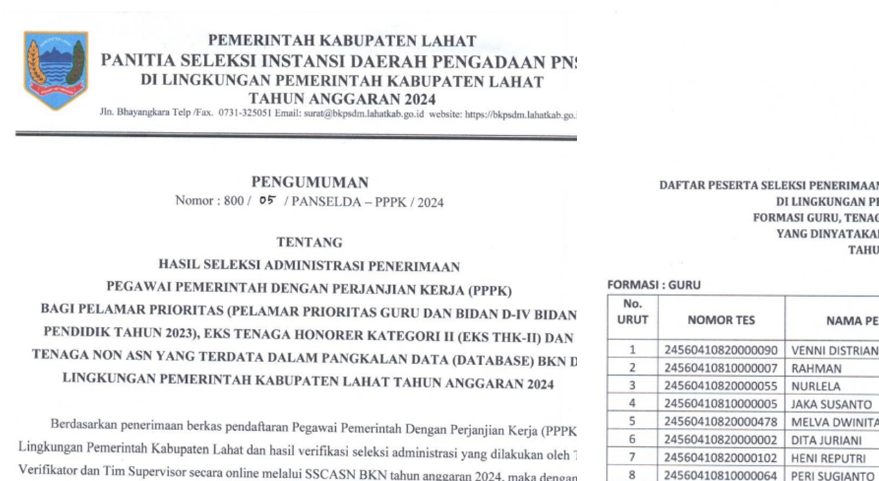 Hasil Seleksi Administrasi PPPK Lahat Tahun 2024, Peserta Pendaftar 4.016 Orang, Lulus 3.525 Orang