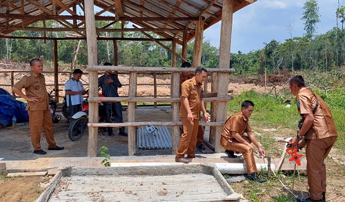 Ketahanan Pangan Desa Tanjung Lontar Perkembangbiakan Sapi