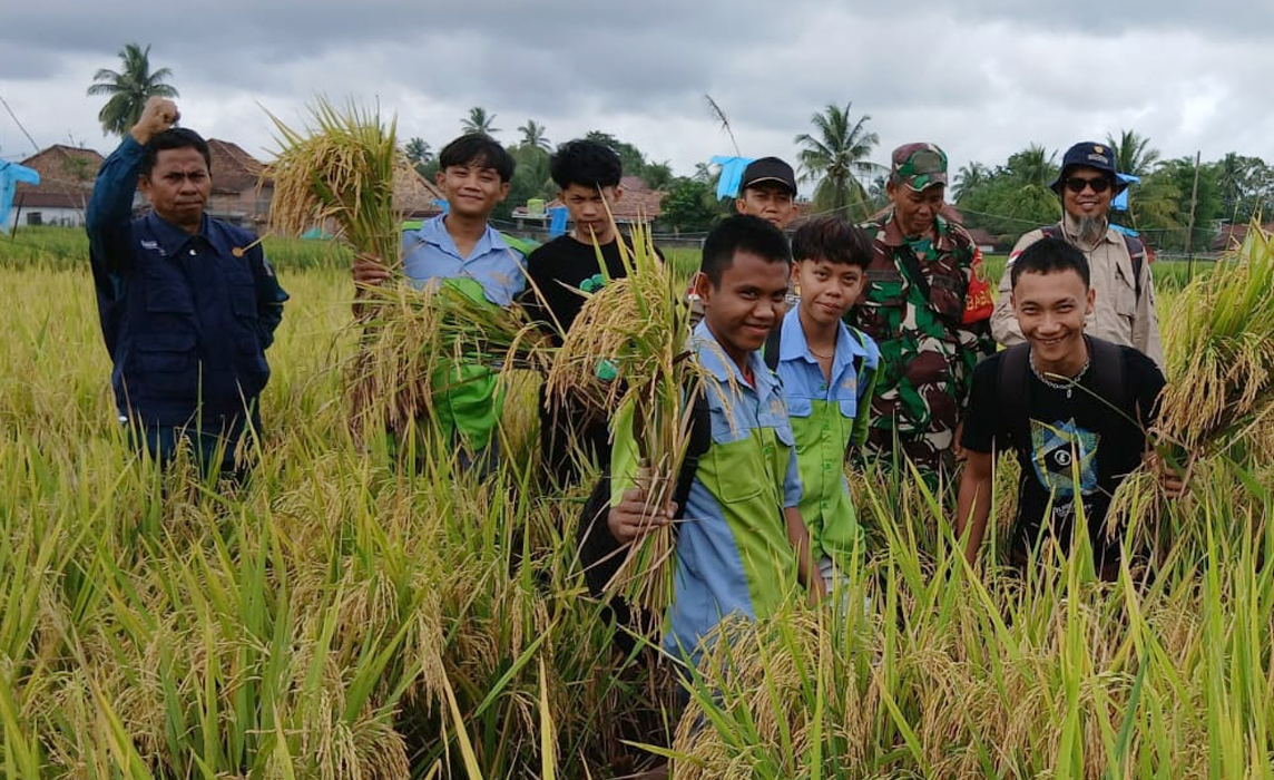 Petani Tanjung Payang Rasakan Manfaat Bantuan Pupuk Organik Cair, Produksi Beras Bertambah 30 Persen