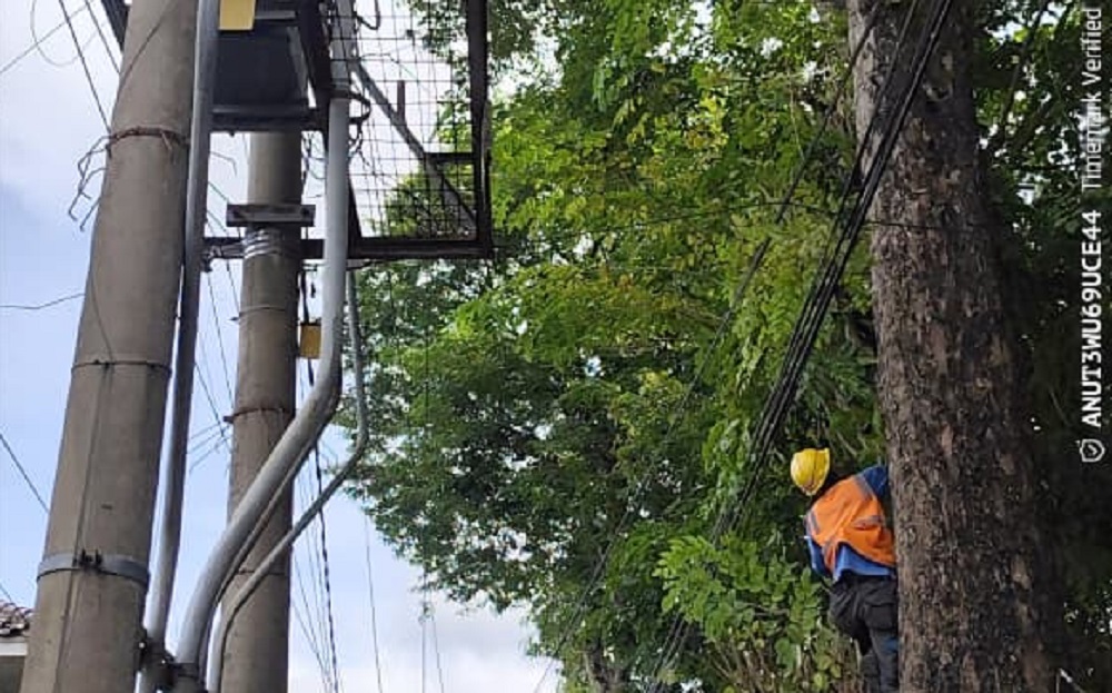  Kolaborasi Program ROW, PLN ULP Lembayung dan DLH Lahat Jaga Listrik Tetap Menyala