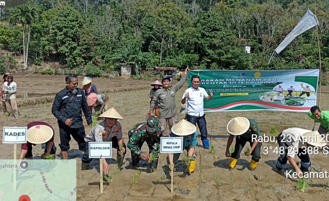 Kabupaten Lahat Berpartisipasi Lakukan Gerakan Tanam Padi Serentak 14 Provinsi 209 Kepala Daerah