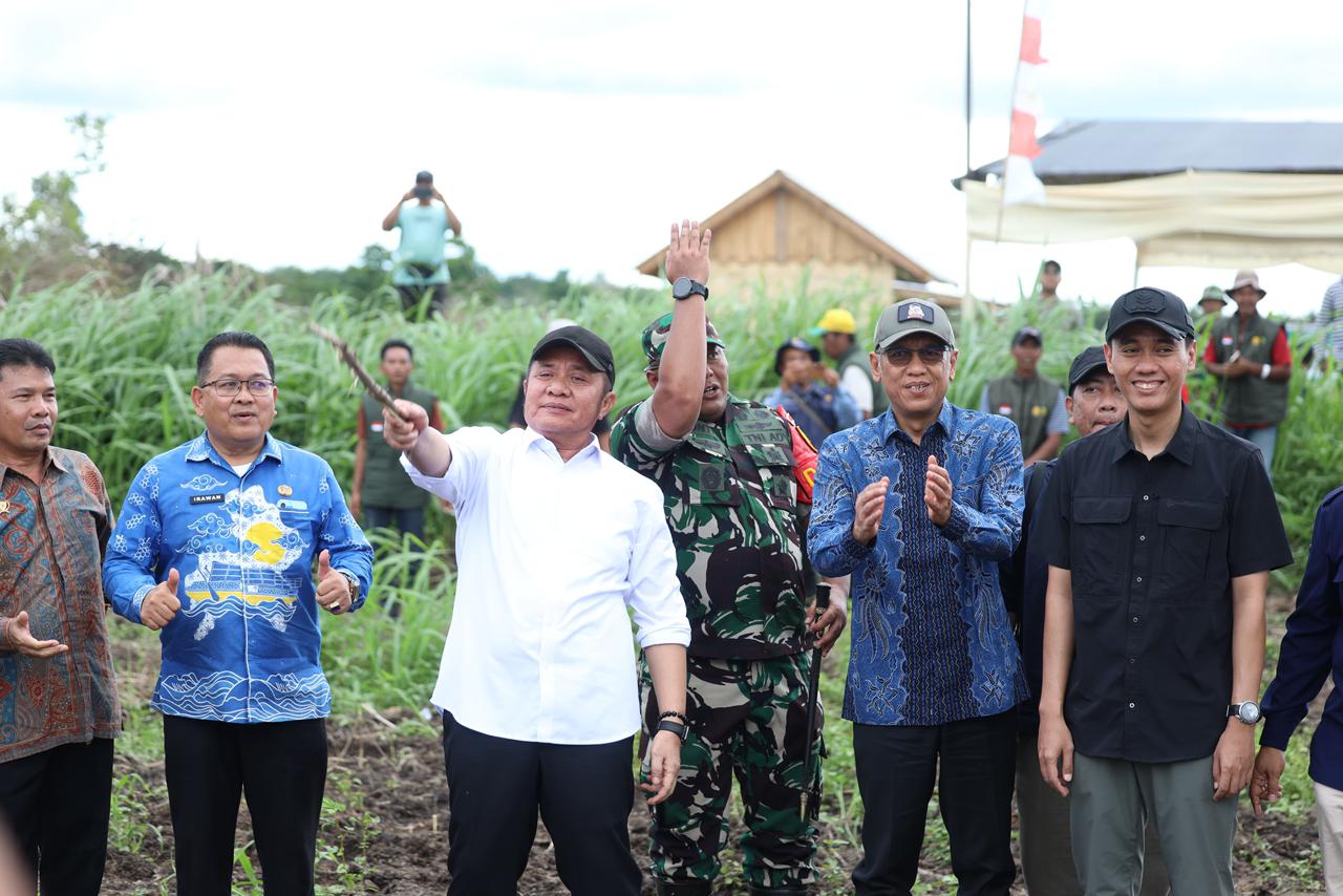 Sumsel Catat Kenaikan Produksi Beras dan Gabah Tertinggi Nasional, Bukti Keberhasilan Program Cetak Sawah