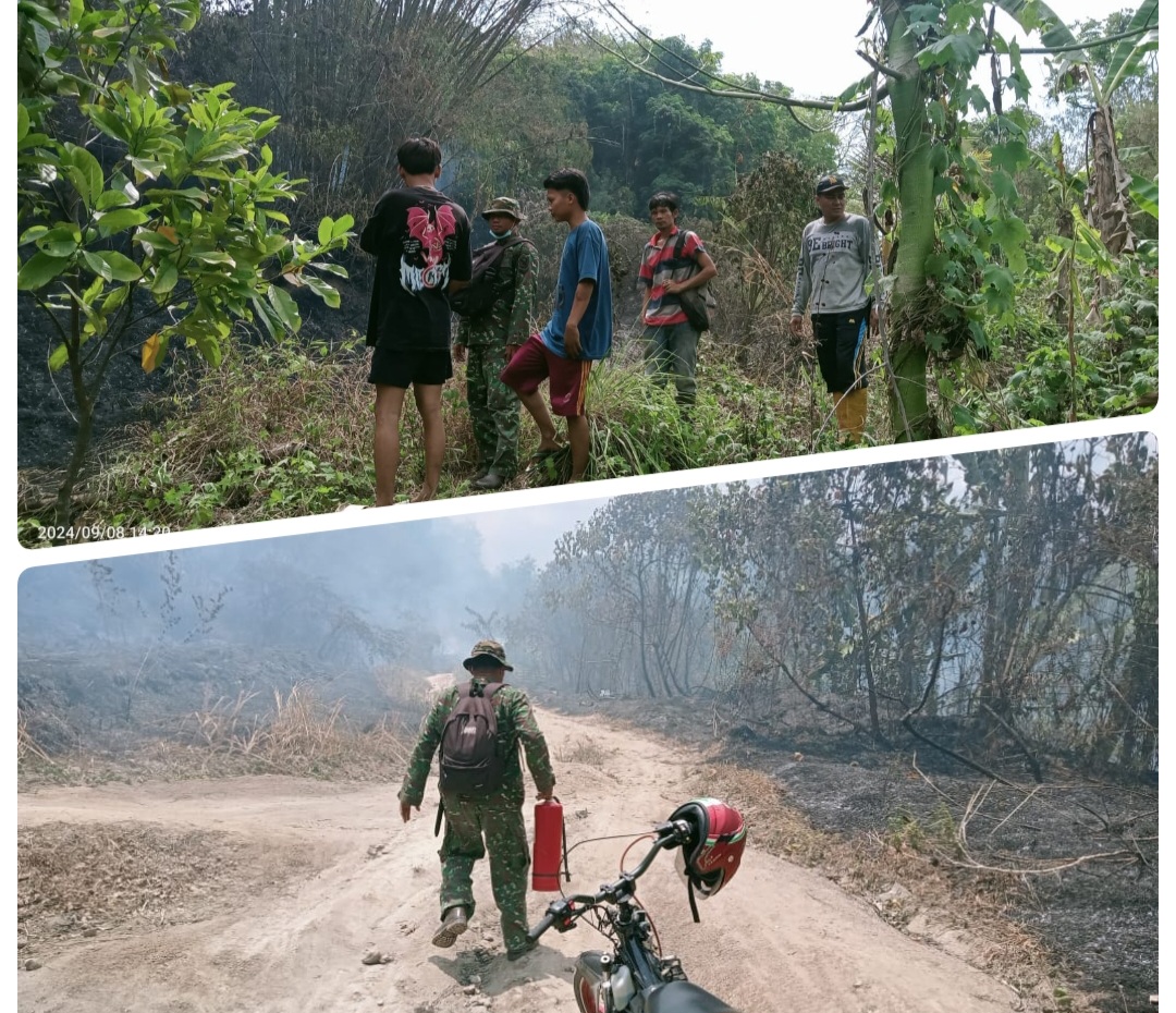 Lahan di Kabupaten Lahat Terbakar, Termasuk IUP Perusahaan Batubara 