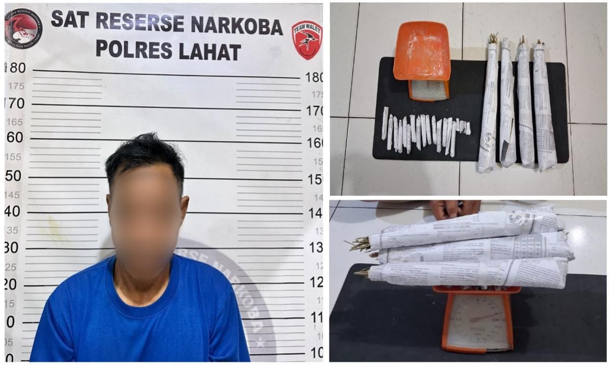 Satresnarkoba Polres Lahat Ungkap Dugaan Peredaran Ganja di Kikim Selatan, 22 Paket Diamankan