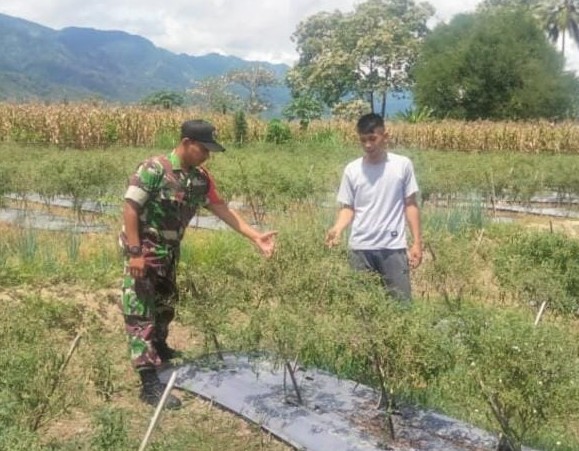 Serda Rudi Santoso Cek Hampangan Kebun Warga Padang Gelai