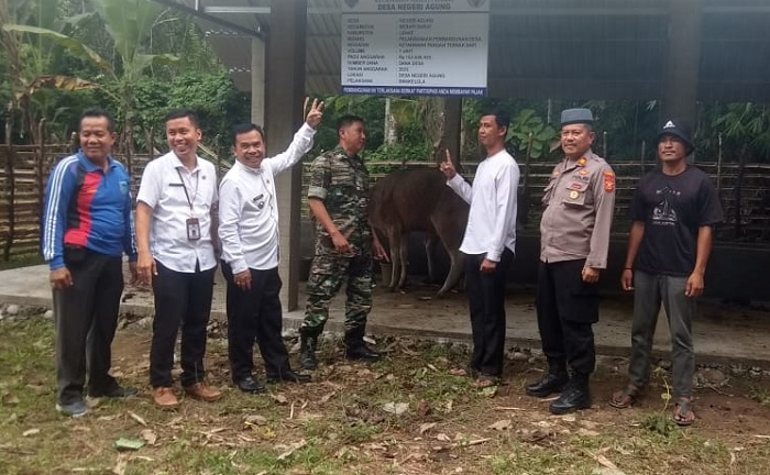 Ini Ketahanan Pangan Desa Negeri Agung Merapi Barat Lahat