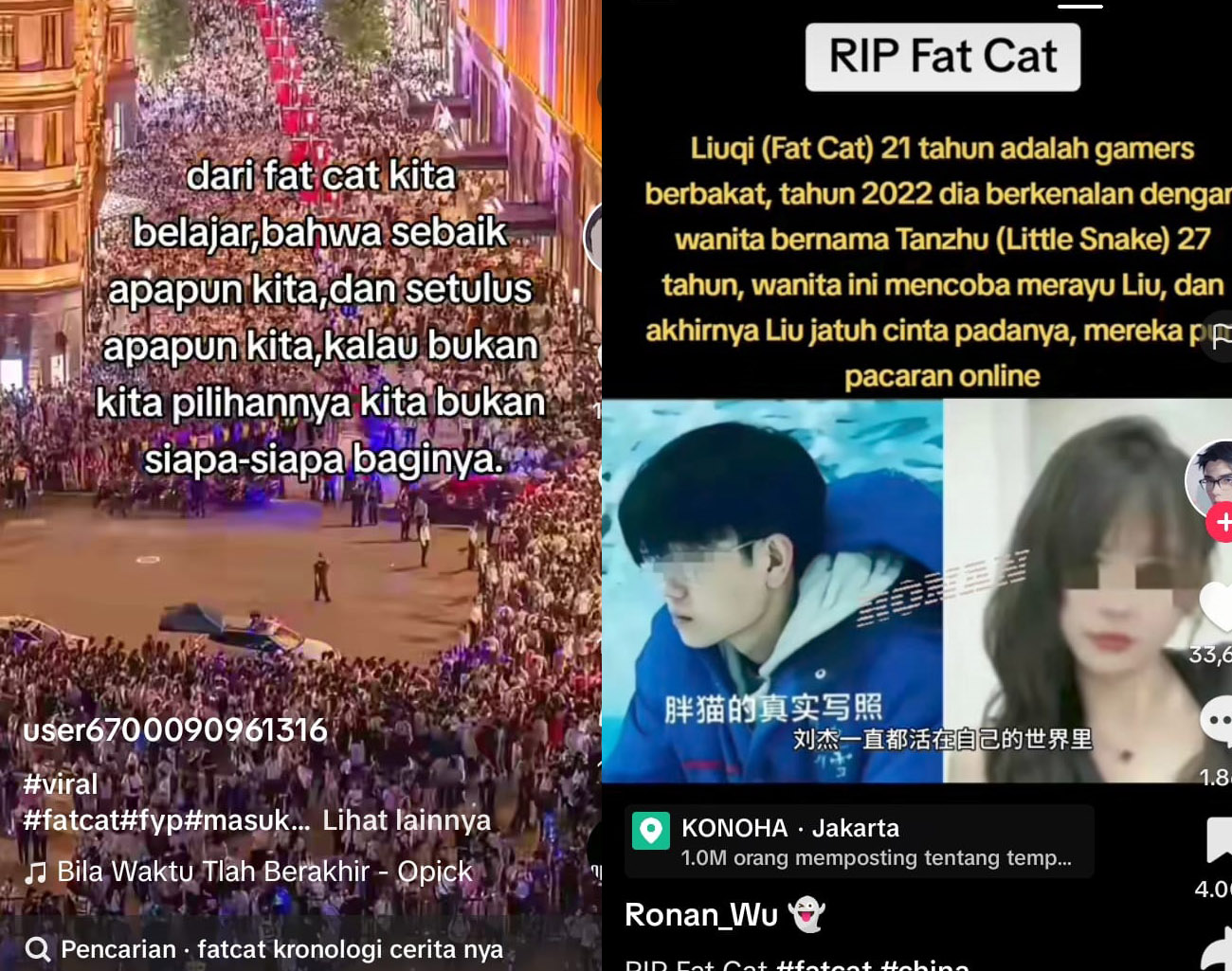 Viral, Kejadian Fat Cat dari Cina sampai ke Dunia, Pria Setia Meninggal, Korban Pengkhianatan Perempuan