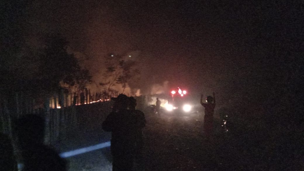 Tanaman Sawit Warga Ikut Terbakar Kejadian Kebakaran Lahan di Tanjung Tebat