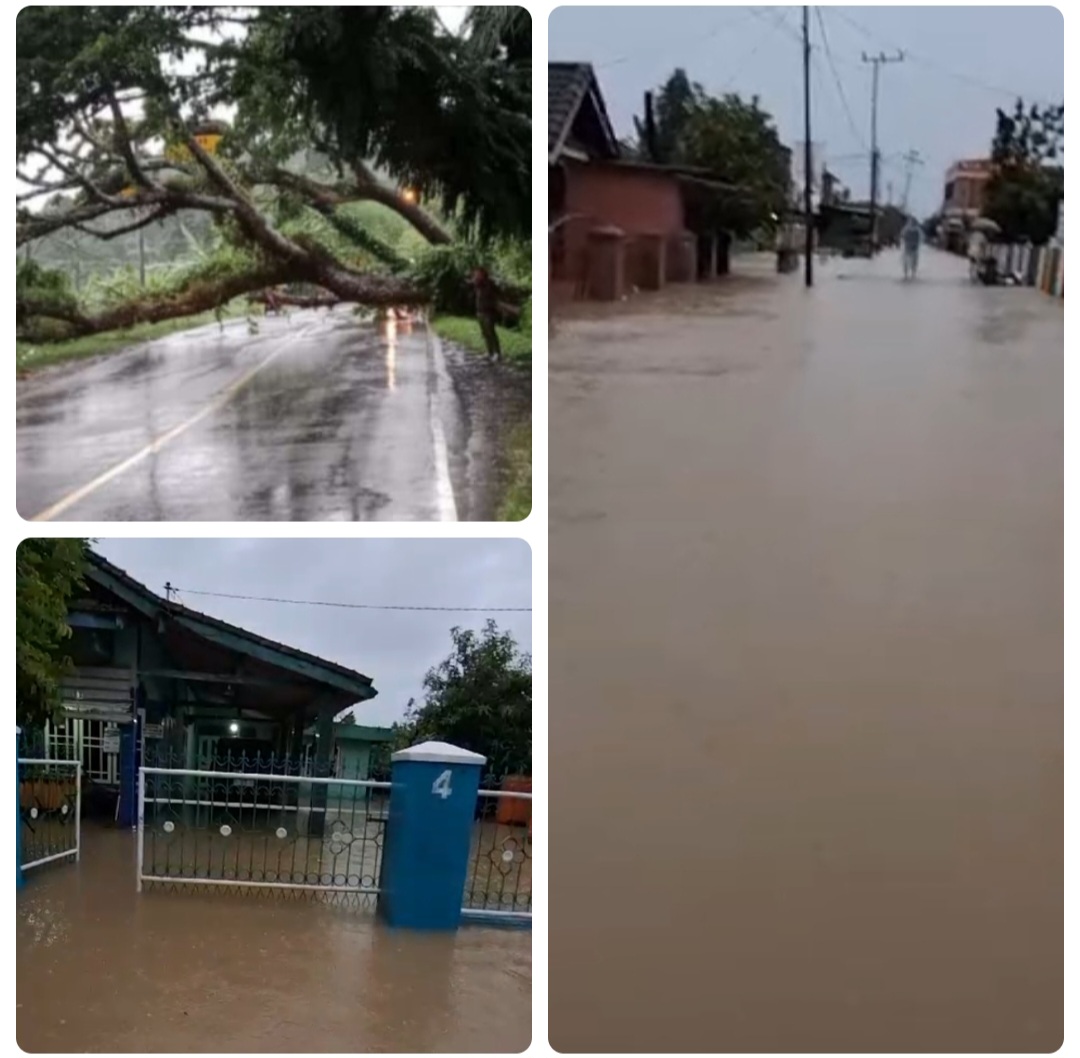 Akibat Hujan Di Lahat Dari Sore Selain Puluhan Rumah Terendam Banjir Juga Ada Pohon Tumbang