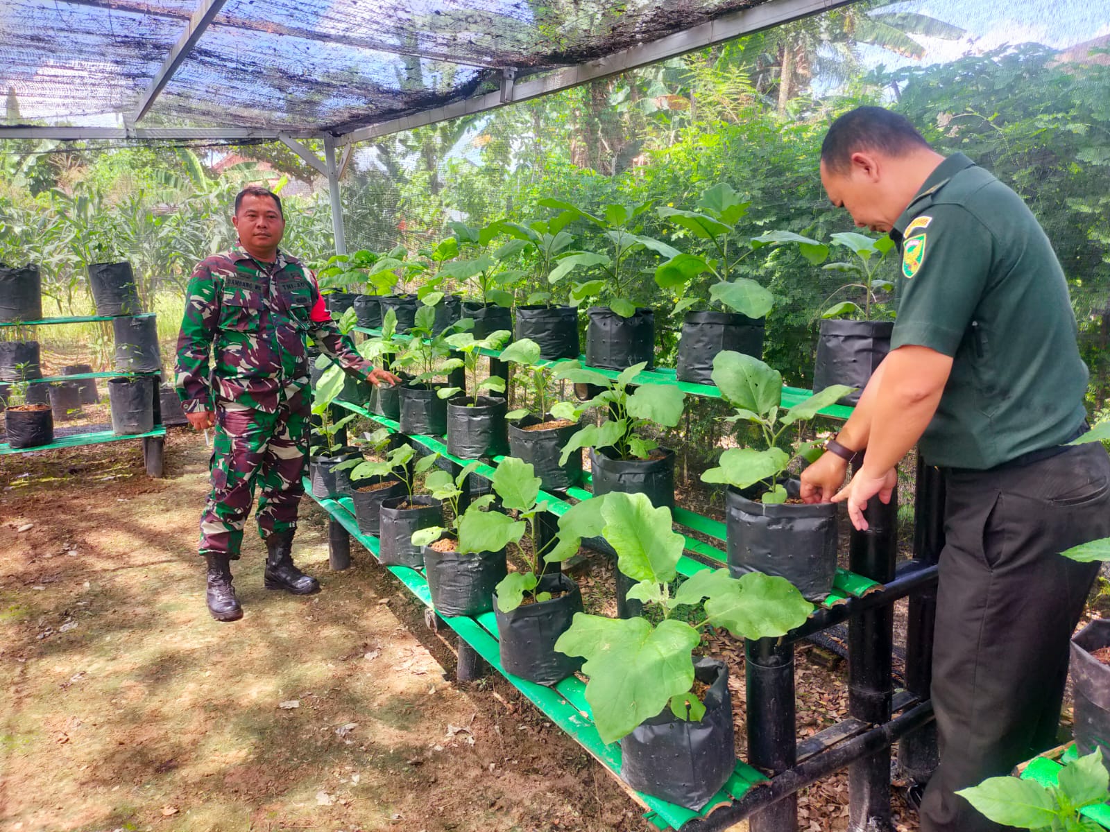 Kodim 0405/Lahat Siap Sukseskan Program Ketahanan Pangan