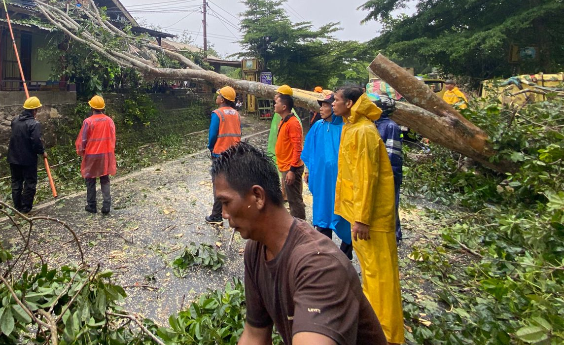 PLN Bergerak Cepat Pulihkan Jaringan Listrik Pasca Bencana Alam di Baturaja