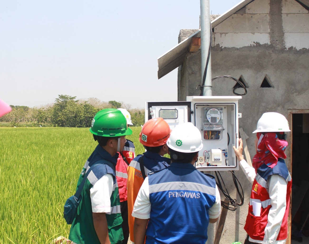 Panen Raya Sukses, Program Electrifying Agriculture PLN Mampu Tingkatkan Produksi Pertanian Padi di Ponorogo