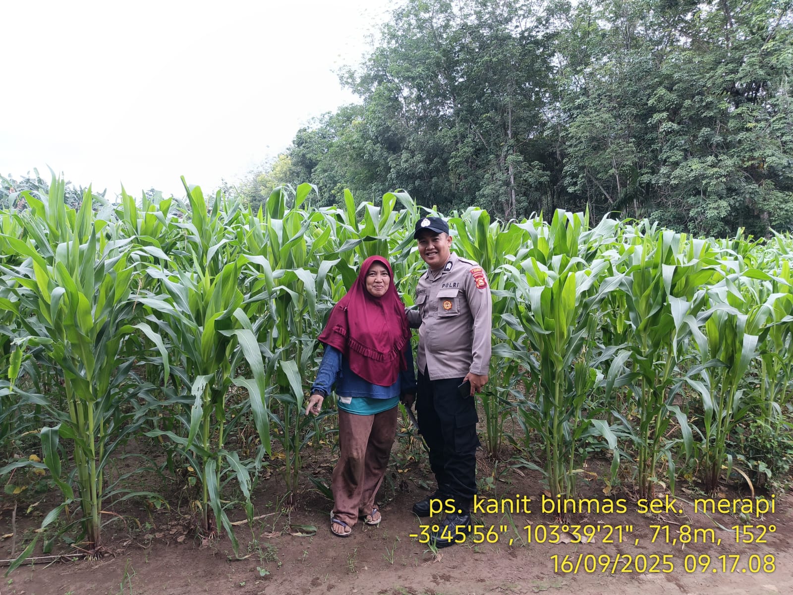Dukung Program Ketahanan Pangan, Bhabinkamtibmas Dampingi Petani Tanam Jagung
