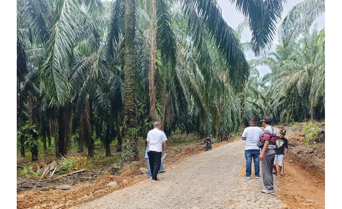 Tangan Dingin Nanda Vinola Hidupkan Kembali Jalan Desa Purnama Sari, Masyarakat Bersyukur