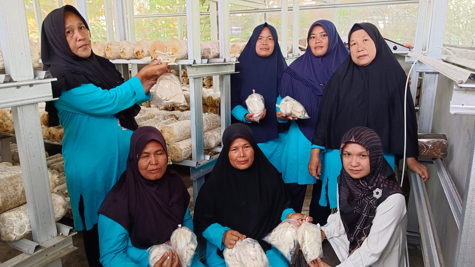 Mantab, Desa Gunung Agung Perdana Panen Jamur Tiram