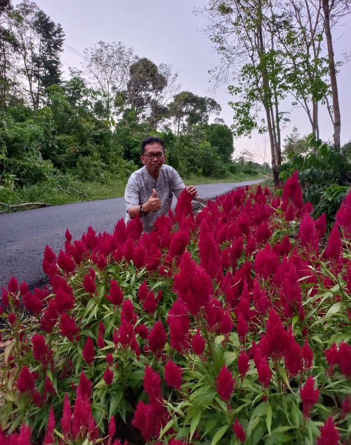 Bakal Sulap Tebingan Curam Jadi Taman Bunga dan Wahana Rekreasi di Jagabaya Kikim Selatan