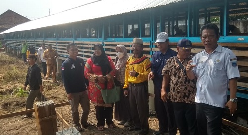 Peternakan Kebur Farm Sediakan Kambing untuk Hewan Kurban