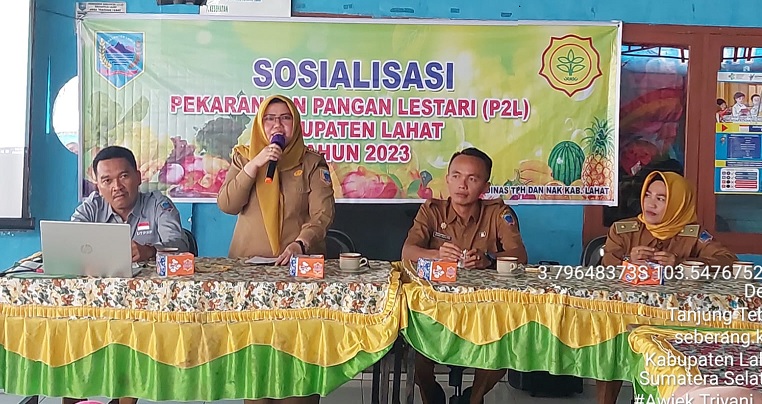 Dinas TPHP Lahat Menggelar Sosialisasi Pekarangan Pangan Lestari (P2L) di Desa Tanjung Tebat, ini Harapannya