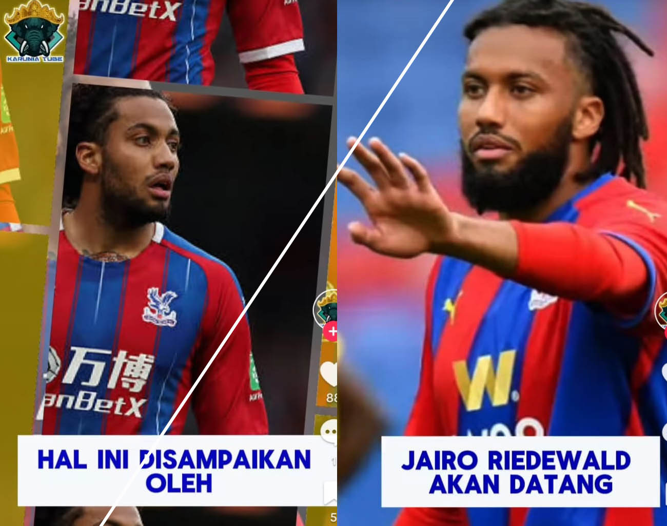 Malaysia Sukses Pengaruhi Jairo Riedewald, Pemain Rambut Gimbal Batal Gabung Timnas, PSSI Berat, Piala Dunia