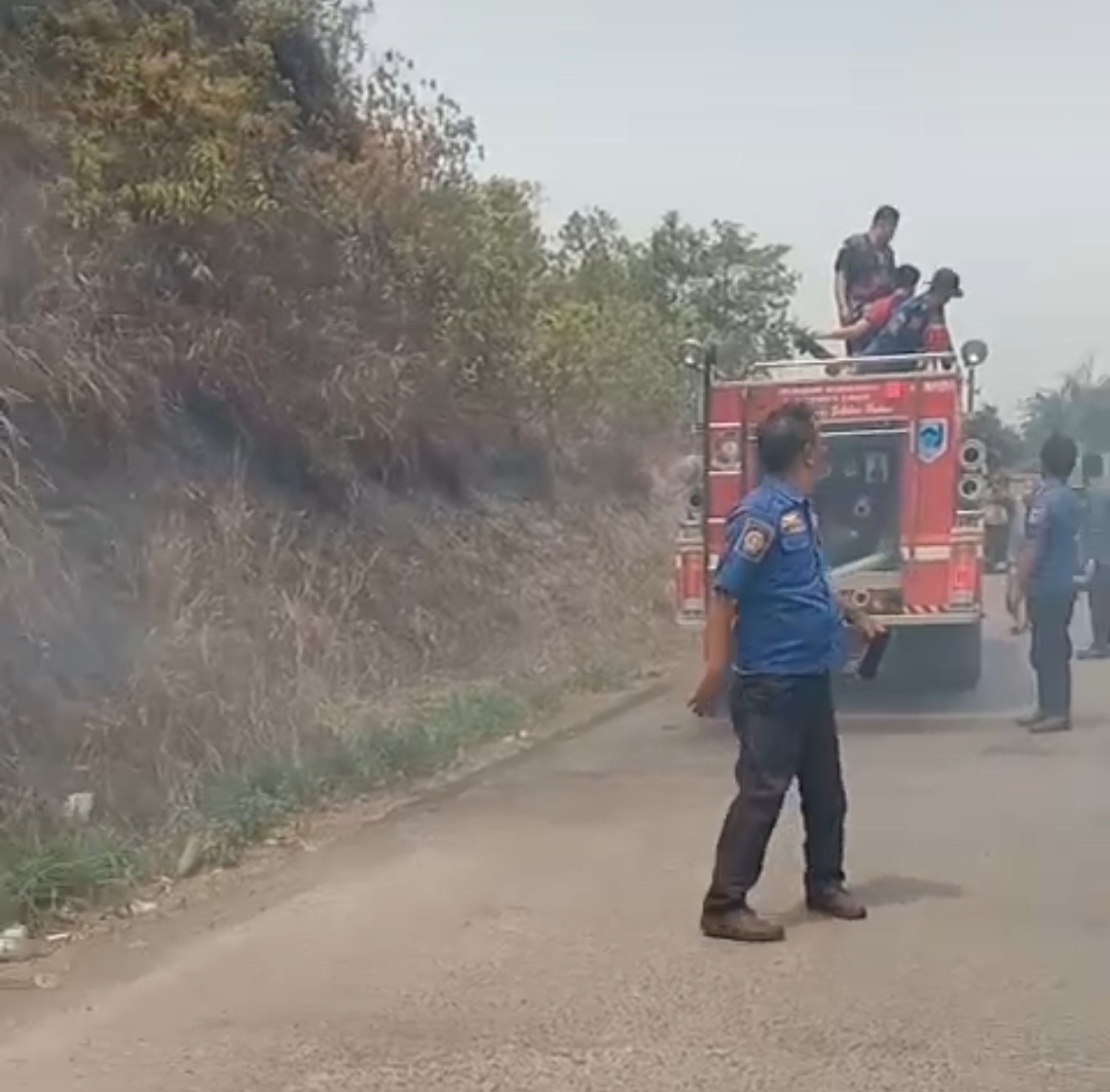 Siang Hari Pinggir Jalan Lintas Desa Ulak Pandan Membara Ini Luas Yang Terbakar