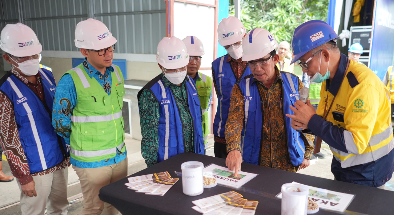 Kembangkan Biomassa dari Kaliandra Merah, Bukit Asam (PTBA) Bangun Pilot Plant Wood Pellet