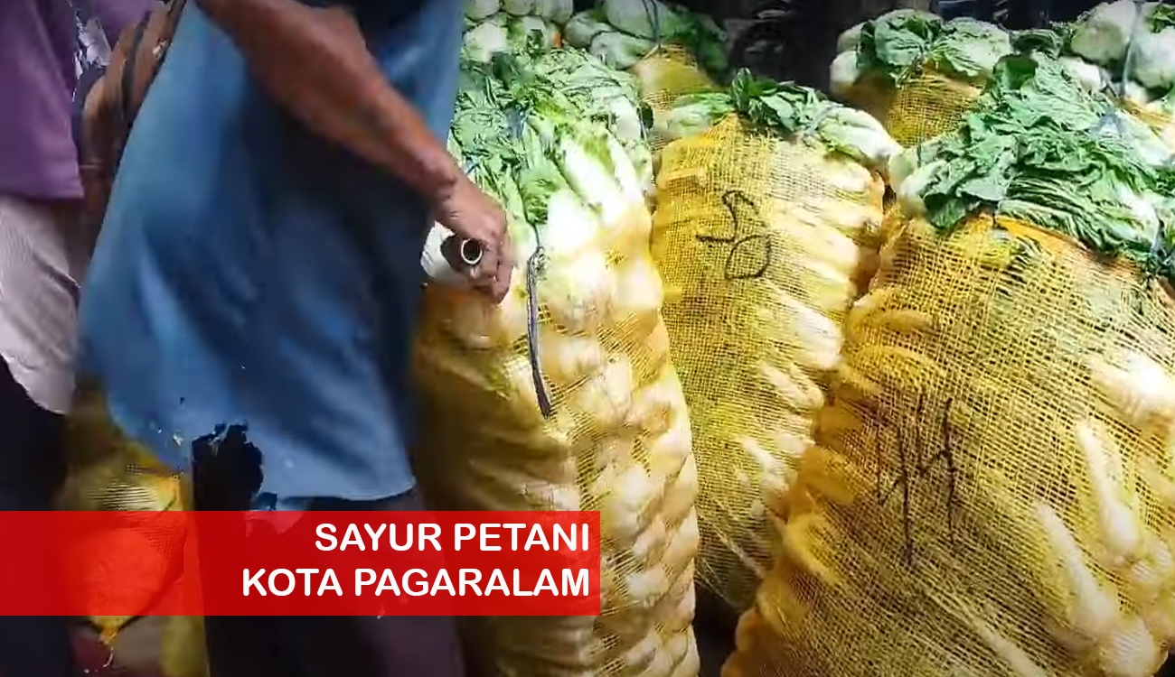 Tiga Daerah di Sumsel Tidak Ada Dana Desa, Pagaralam Layak Dapat karena Penduduk Mayoritas Petani 