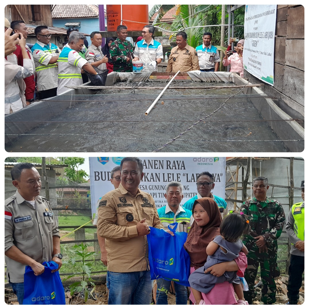 Kelompok Peternak Ikan Labi Jaya Desa Gunung Kembang Binaan PT Mustika Indah Permai Sukses Panen Raya Perdana