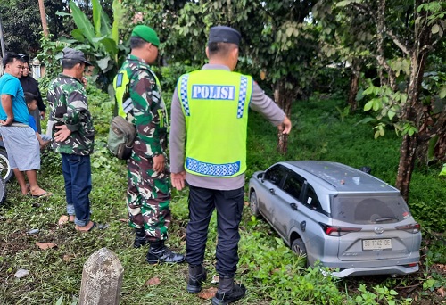 Akibat Oleng, Avanza Nyungsep di Kebun Warga