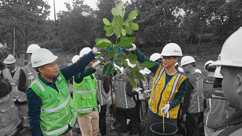 Bukit Asam (PTBA) Ubah Lahan Bekas Tambang Jadi Kebun Buah