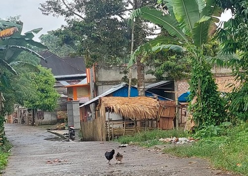 Warga Pagar Jati Resah Keberadaan Cafe Remang-remang