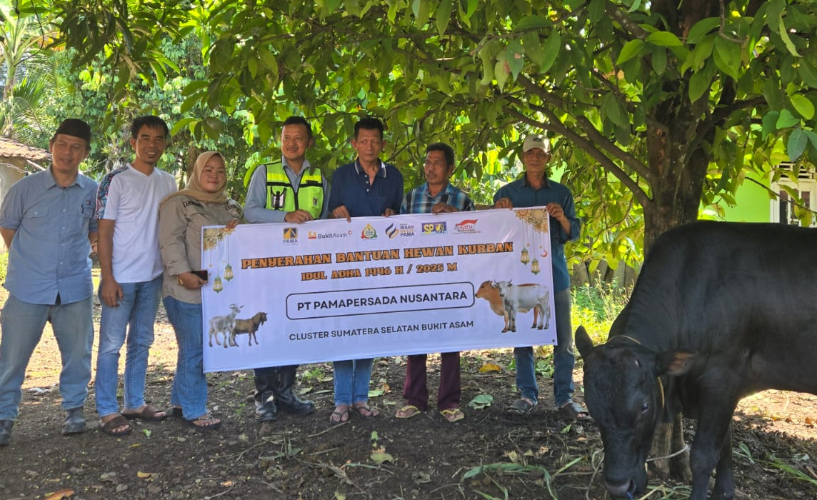 PT Pamapersada Nusantara Salurkan Hewan Kurban Perayaan Idul Adha 1446 H untuk Masyarakat Muara Enim dan Lahat