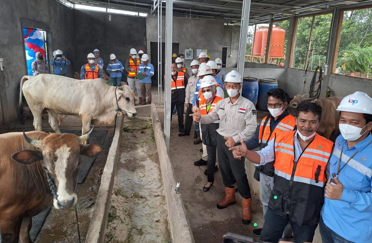 Ini Ungkapan Masyarakat  Untuk Program Ketahanan Pangan PT Banjarsari Pribumi 