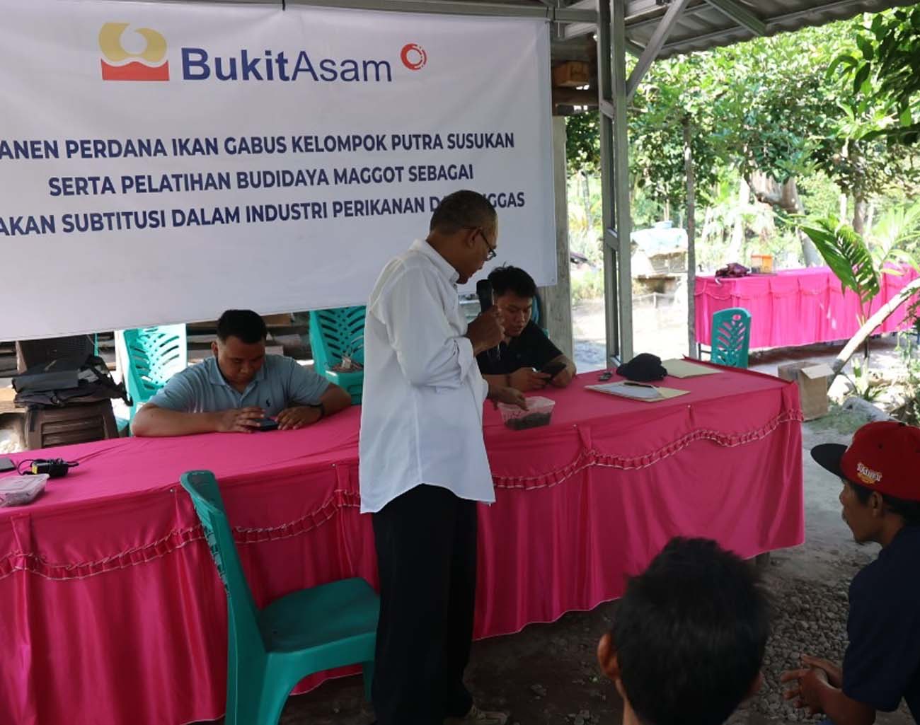 Bukit Asam (PTBA) Gelar Pelatihan Budidaya Maggot, Ciptakan Peluang Usaha