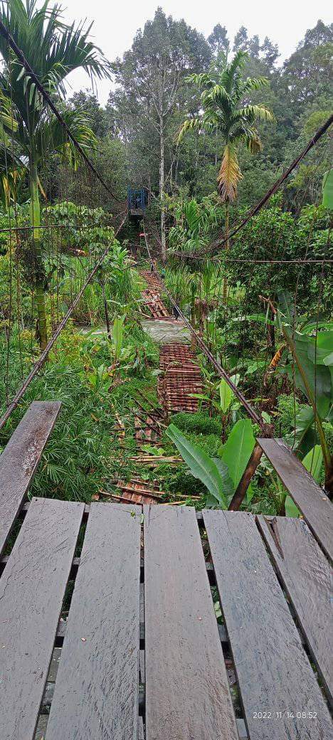 Jembatan Gantung Sepanjang 90 Meter Terputus, Perekonomian Warga Terancam Lumpuh