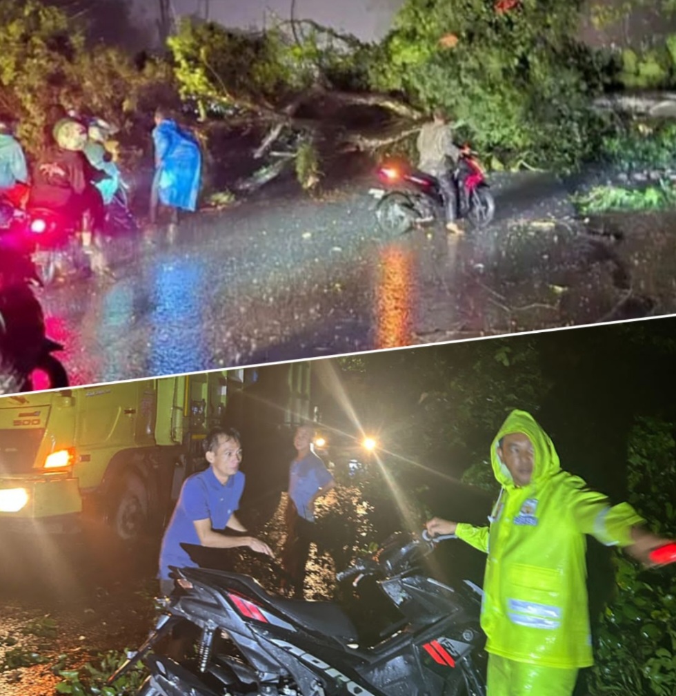 Meski Cuaca Hujan Tidak Menyurutkan Semangat Personel Polsek Merapi Evakuasi Pohon Tumbang