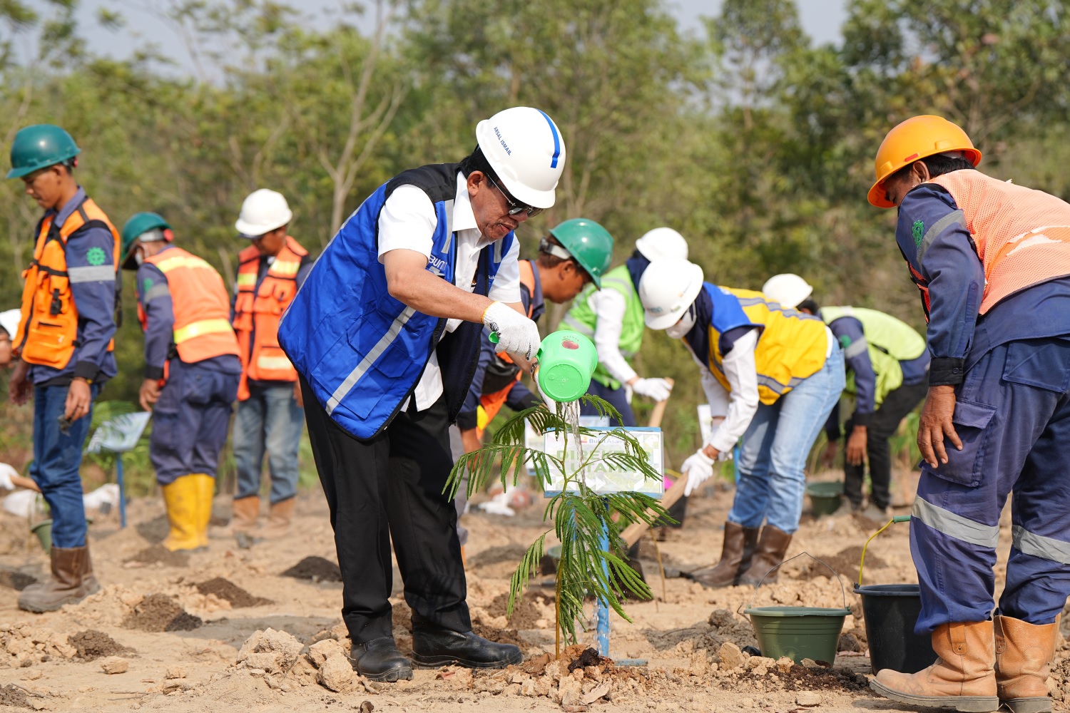 Bukit Asam (PTBA) Kembangkan Energi Biomassa dari Kaliandra Merah