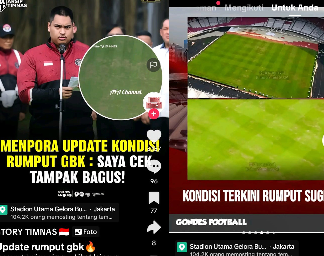 Polemik Rumput Lapangan Stadion Gelora Bung Karno, Menpora Angkat Bicara, Irak vs Indonesia, Piala Dunia