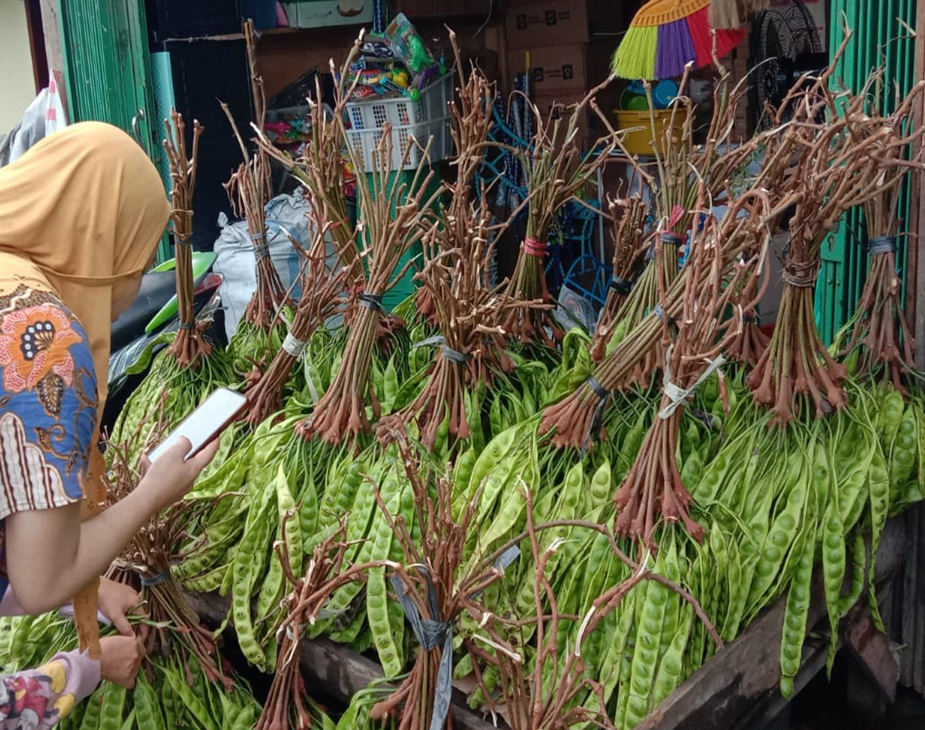 Petai Lampung Masuk Lahat Harganya Murah Meriah Jauh dari Pasaran, Ini Manfaatnya