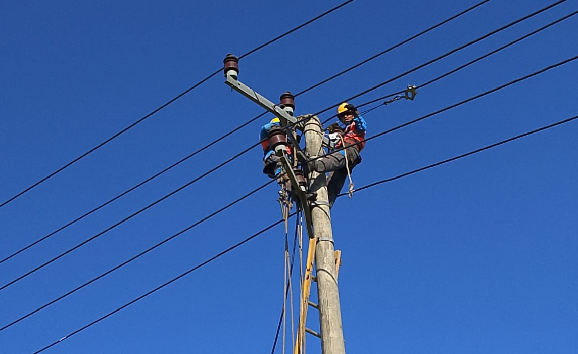 PLN ULP Baturaja Gerak Cepat Pulihkan Kelistrikan Pascagangguan Akibat Pohon Roboh