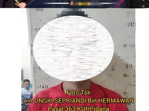 DPO Kasus Pencurian Tiang Kabel Optik di Lubuk Sepang Terungkap