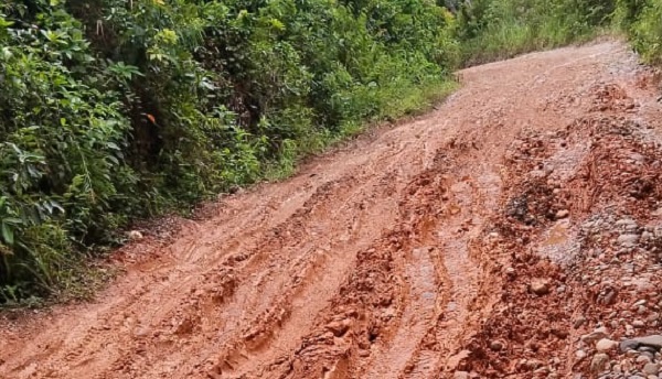 Warga Desa di Kabupaten Lahat ini Keluhkan Jalan Menuju Desanya 